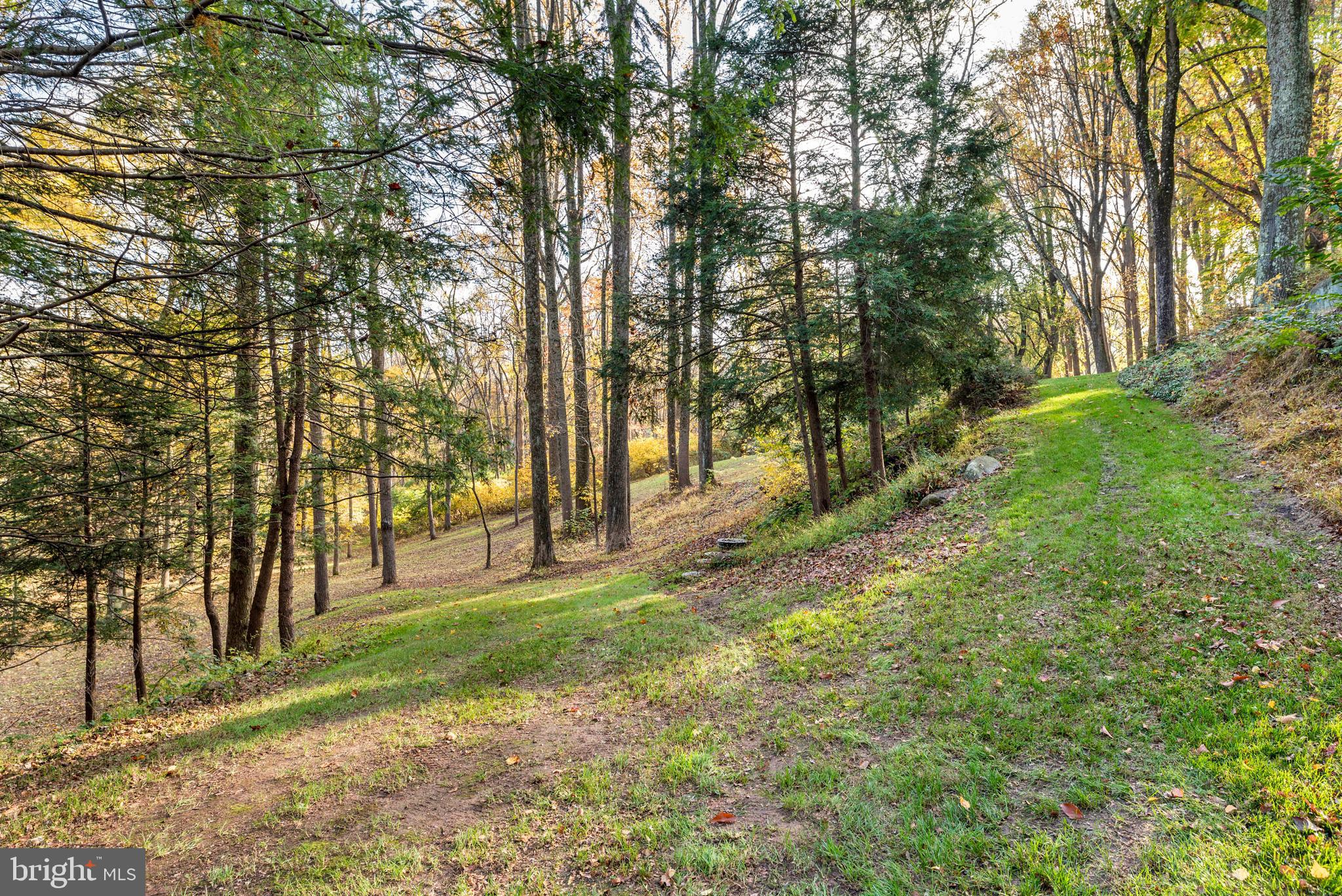 RADNOR HUNT - Residential