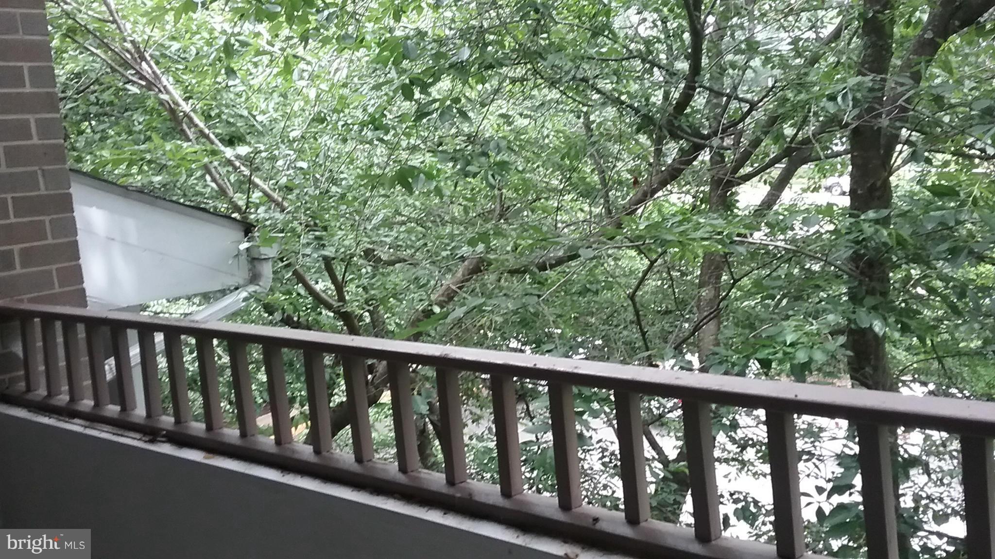 LAFAYETTE FOREST - Residential Lease