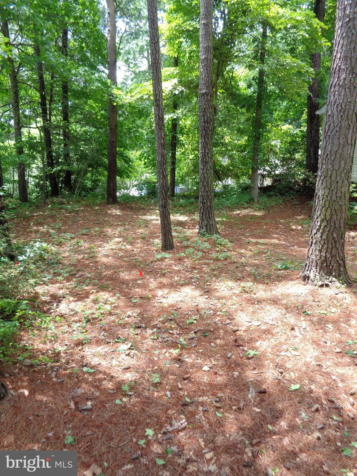 CHESAPEAKE RANCH ESTATES - Residential