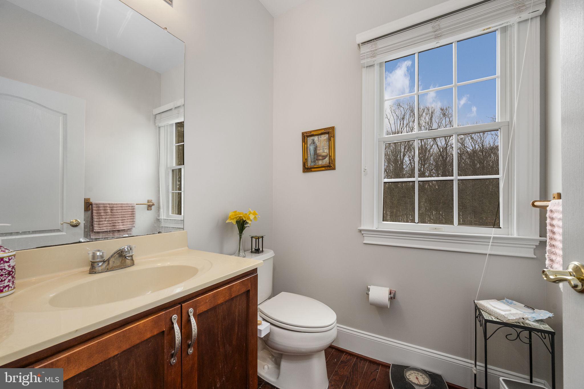 CHESTNUT RIDGE PRSRV - Residential