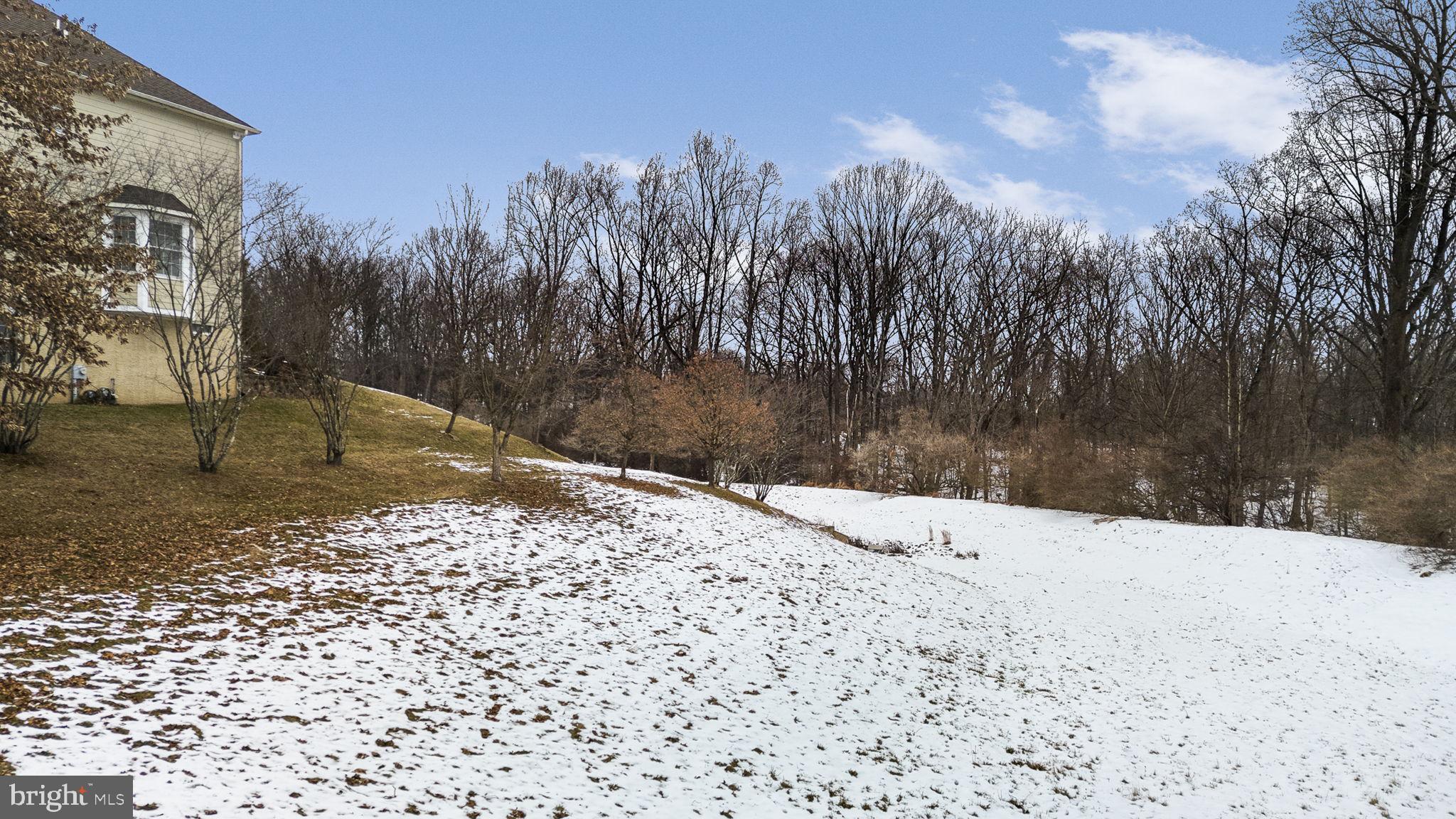 CHESTNUT RIDGE PRSRV - Residential