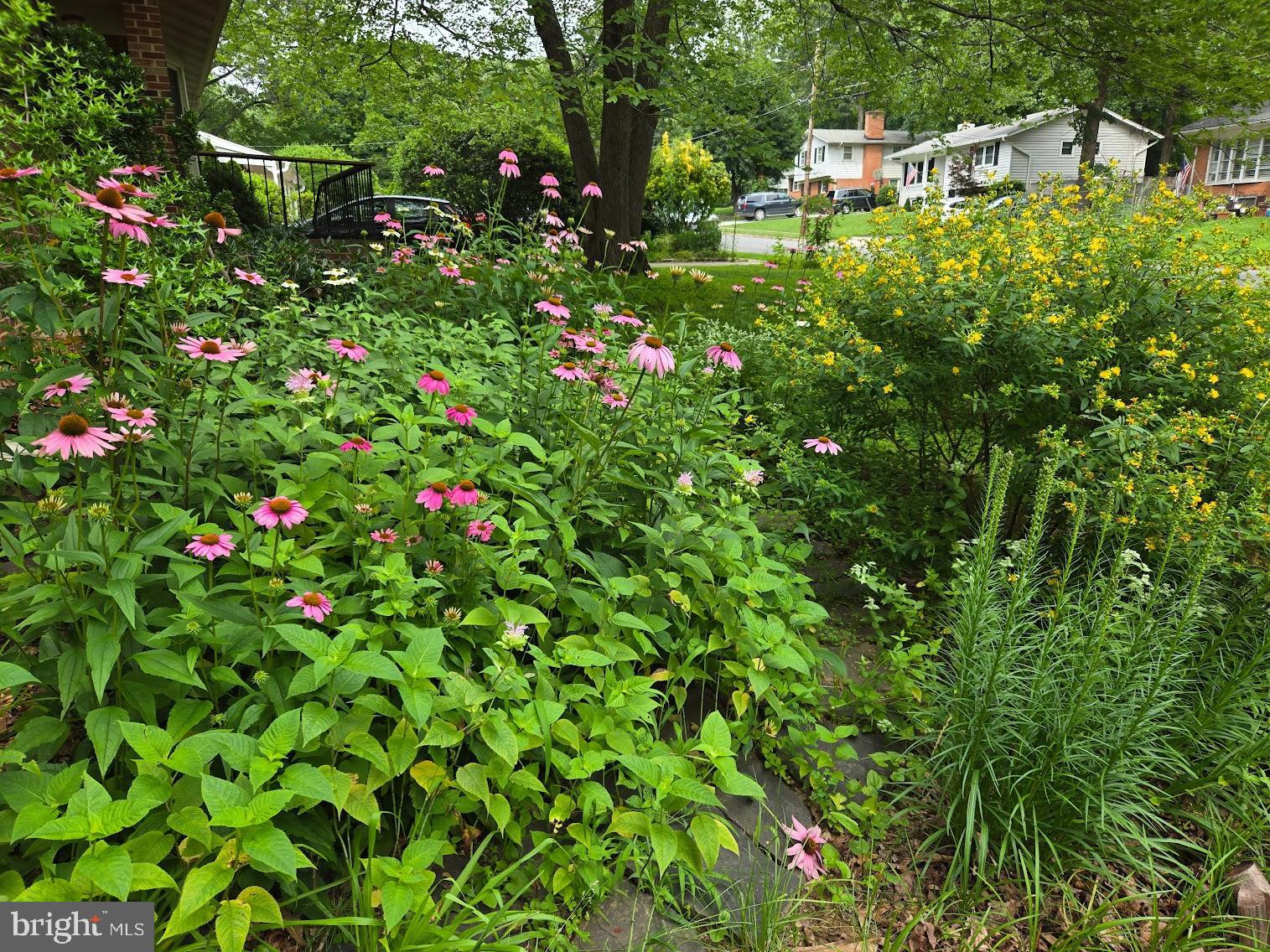 STONEWALL MANOR - Residential