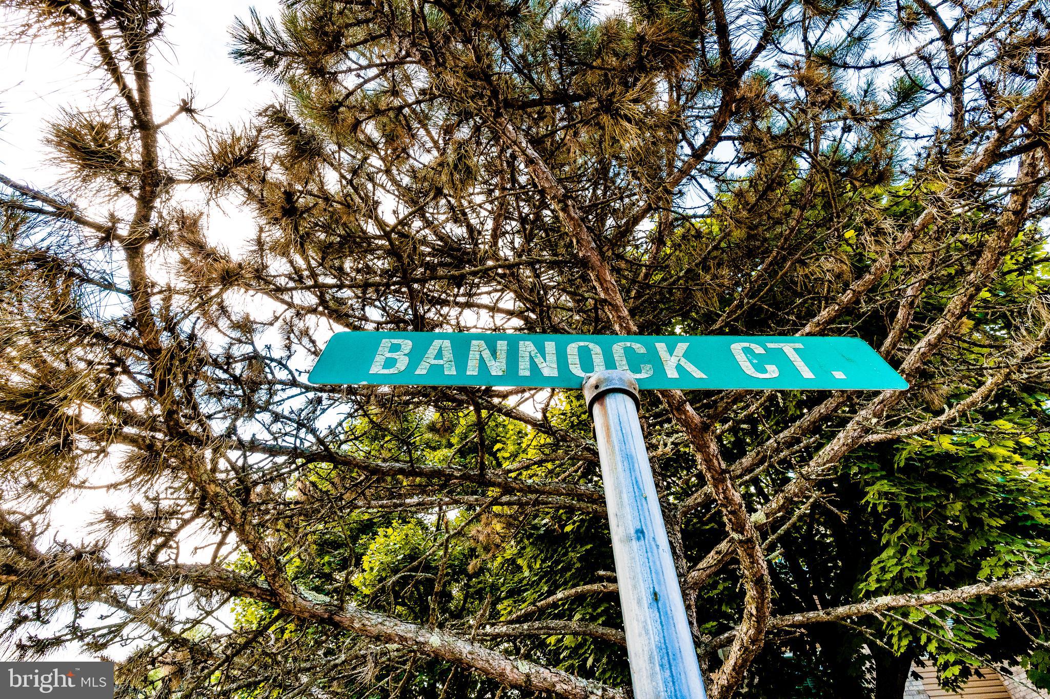 TWELVE TREES - Residential