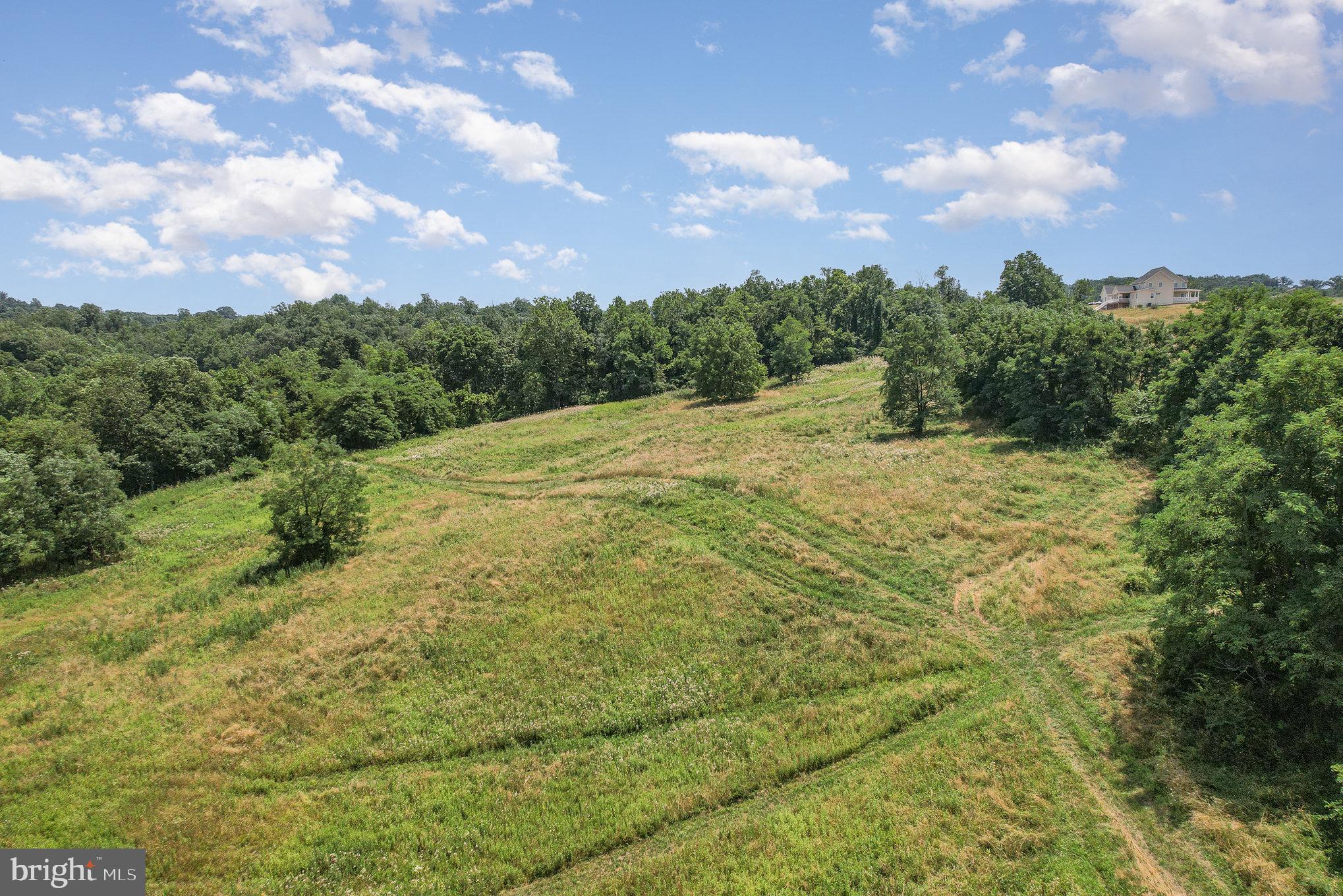 MOWERY ORCHARDS - Land