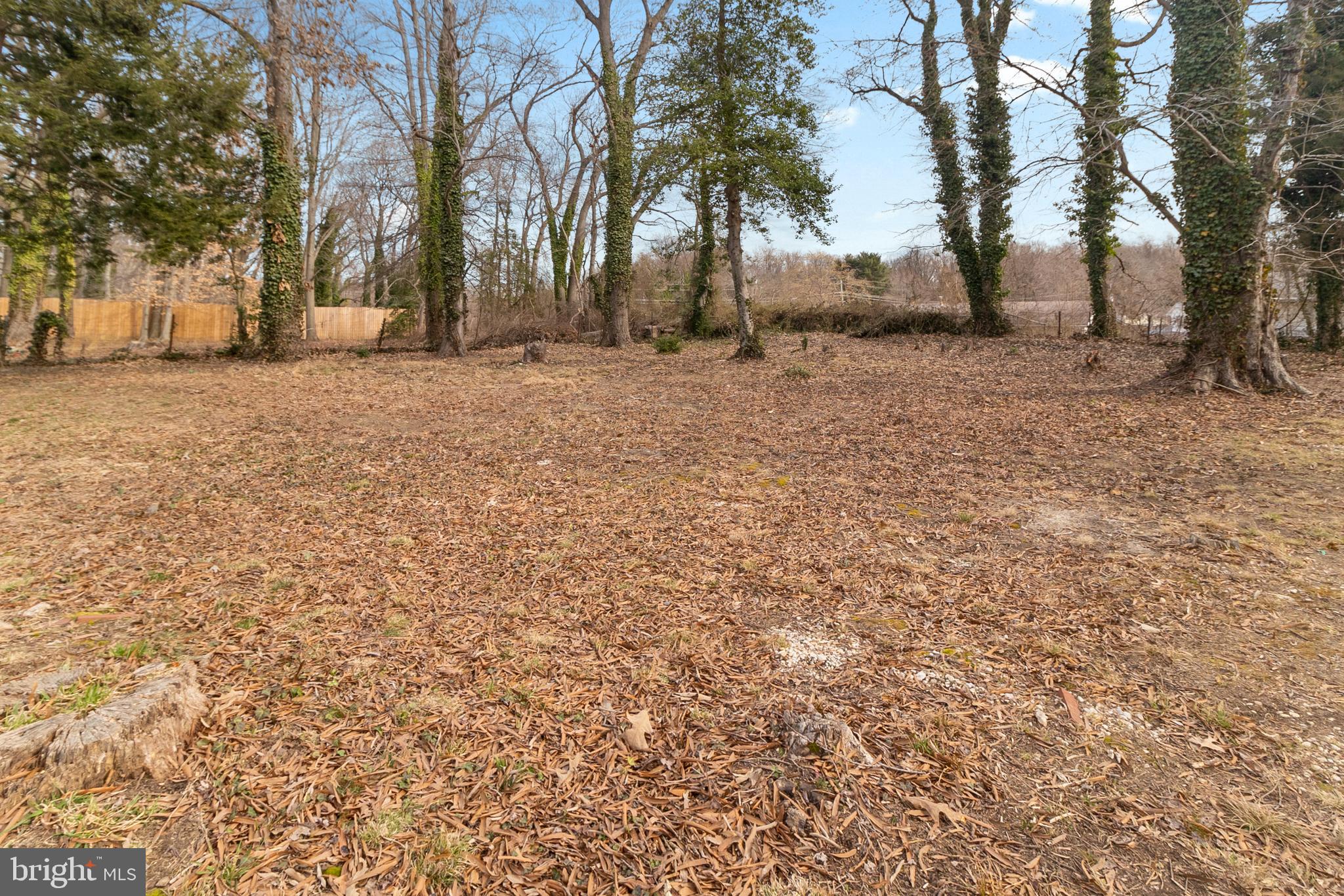 FORT WASHINGTON FOREST - Residential