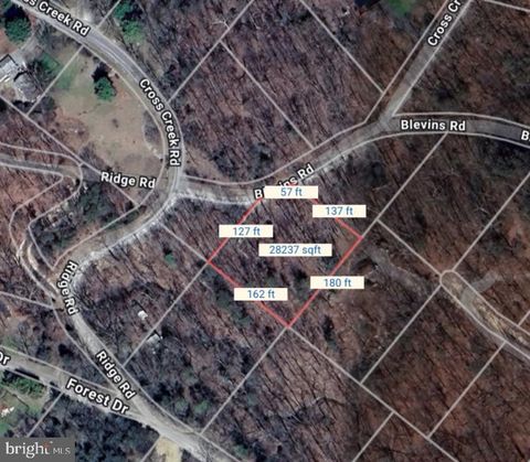 Vacant Land For Sale - Blevins Road<br/> LURAY, VA 22835