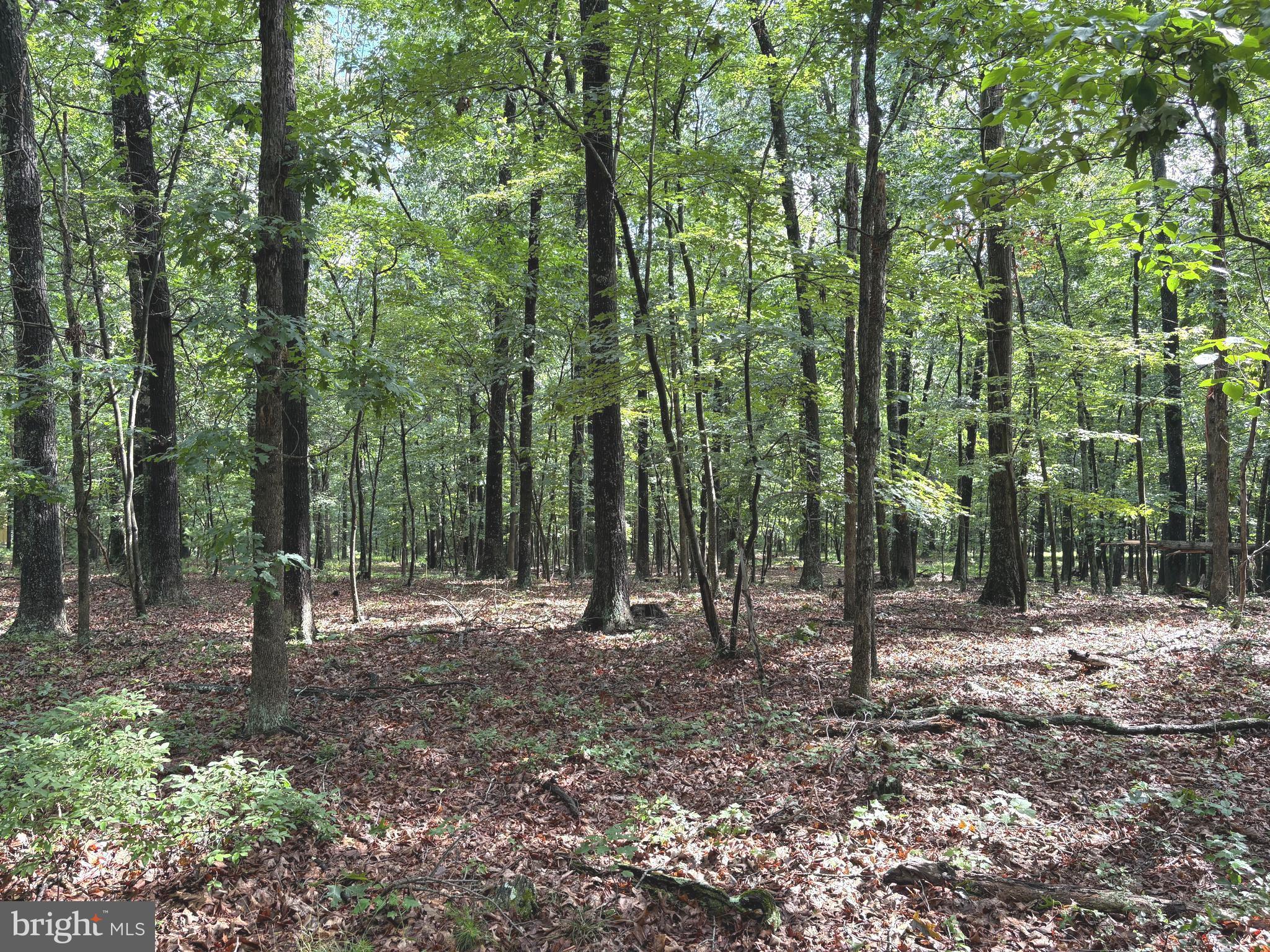 NONE AVAILABLE - Land