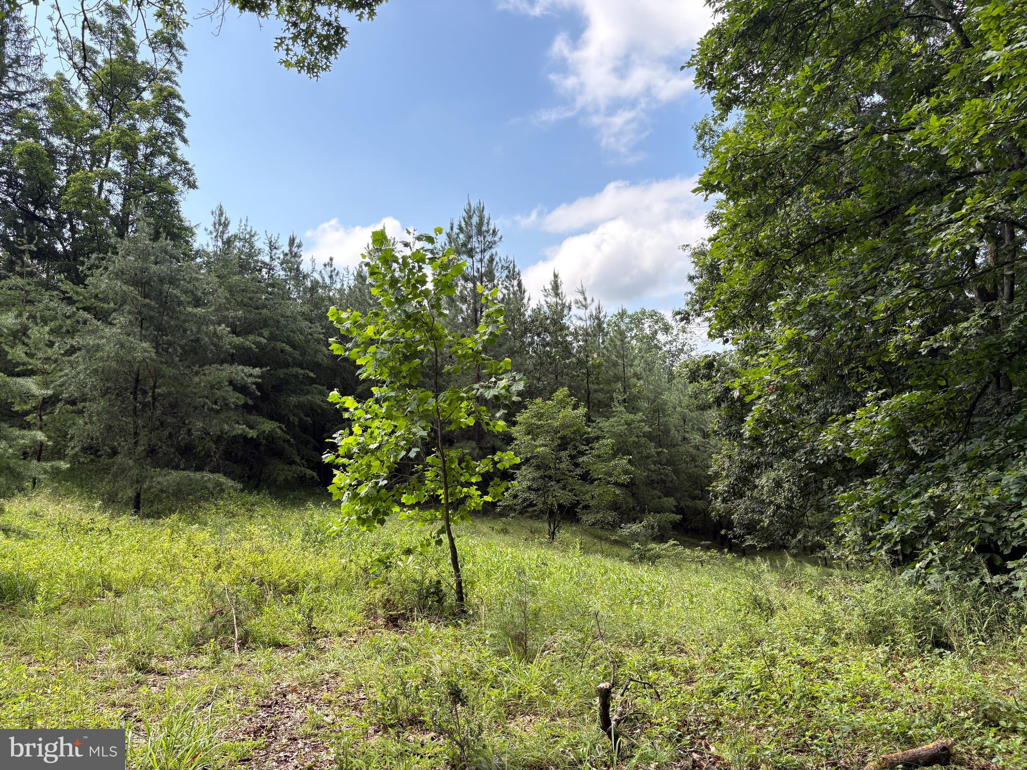 NONE AVAILABLE - Land