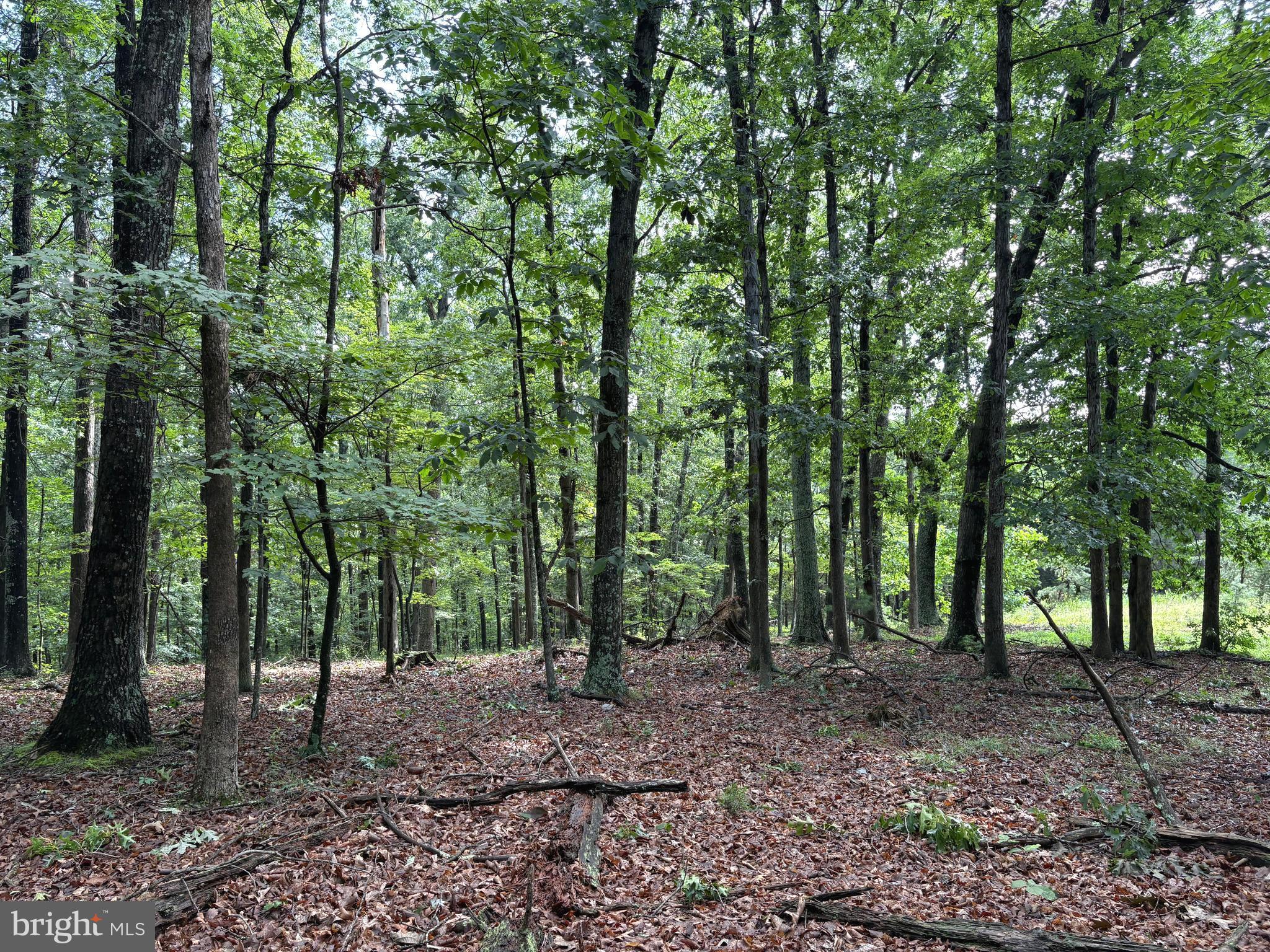 NONE AVAILABLE - Land