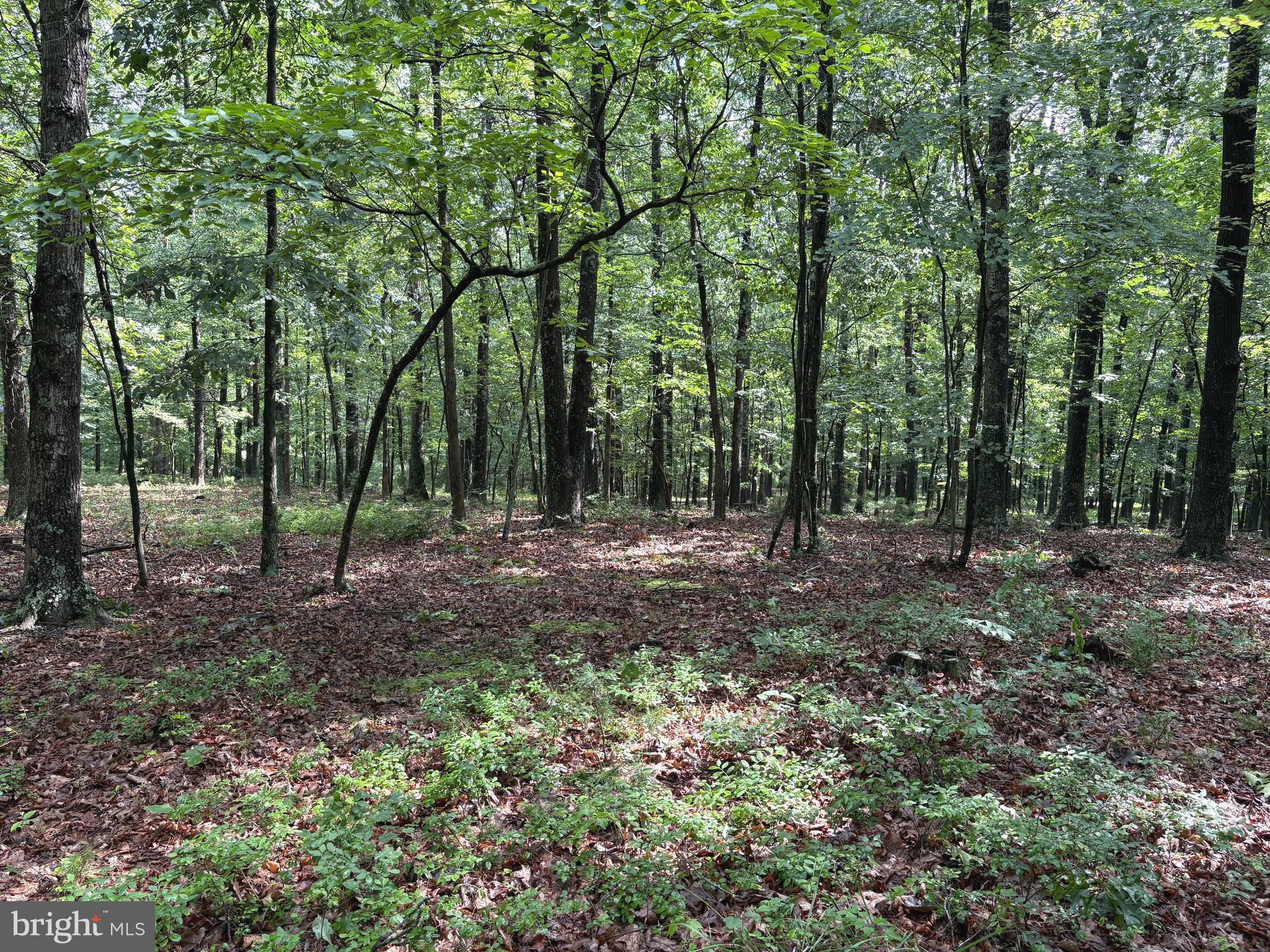 NONE AVAILABLE - Land