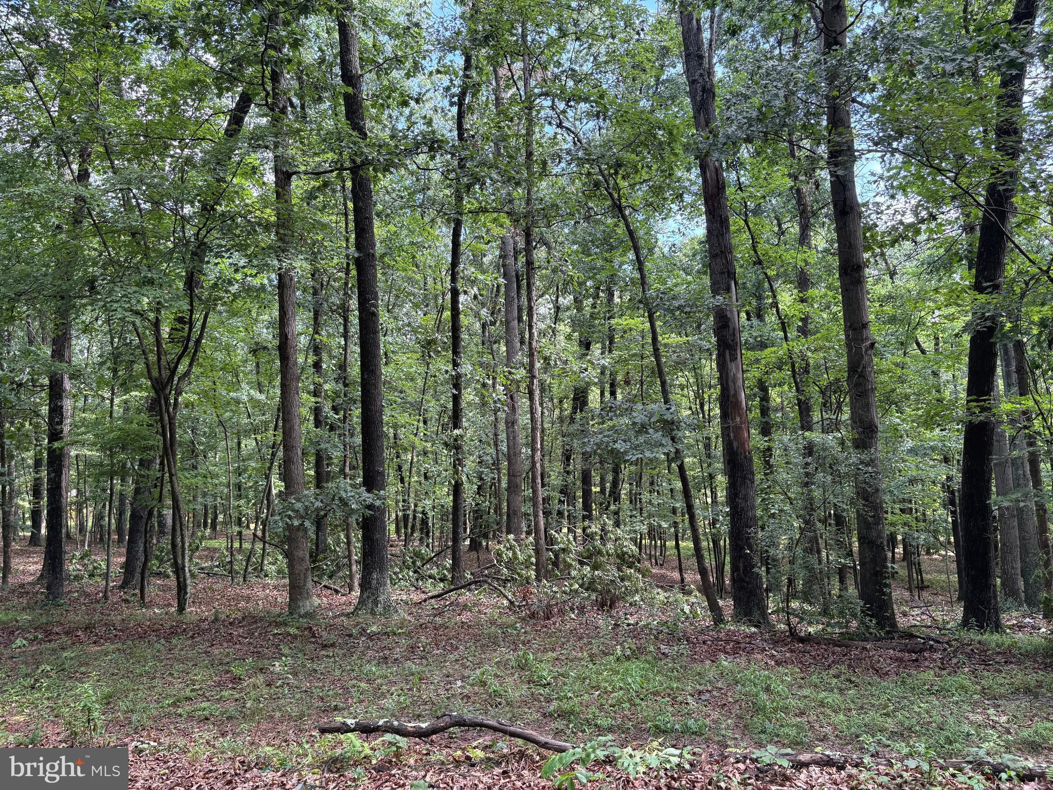 NONE AVAILABLE - Land