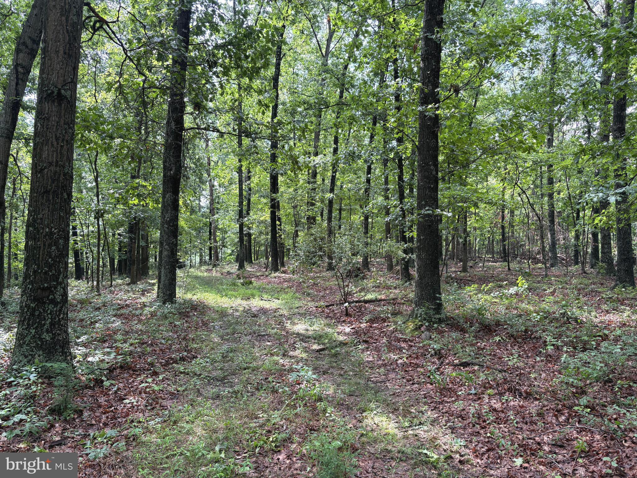 NONE AVAILABLE - Land