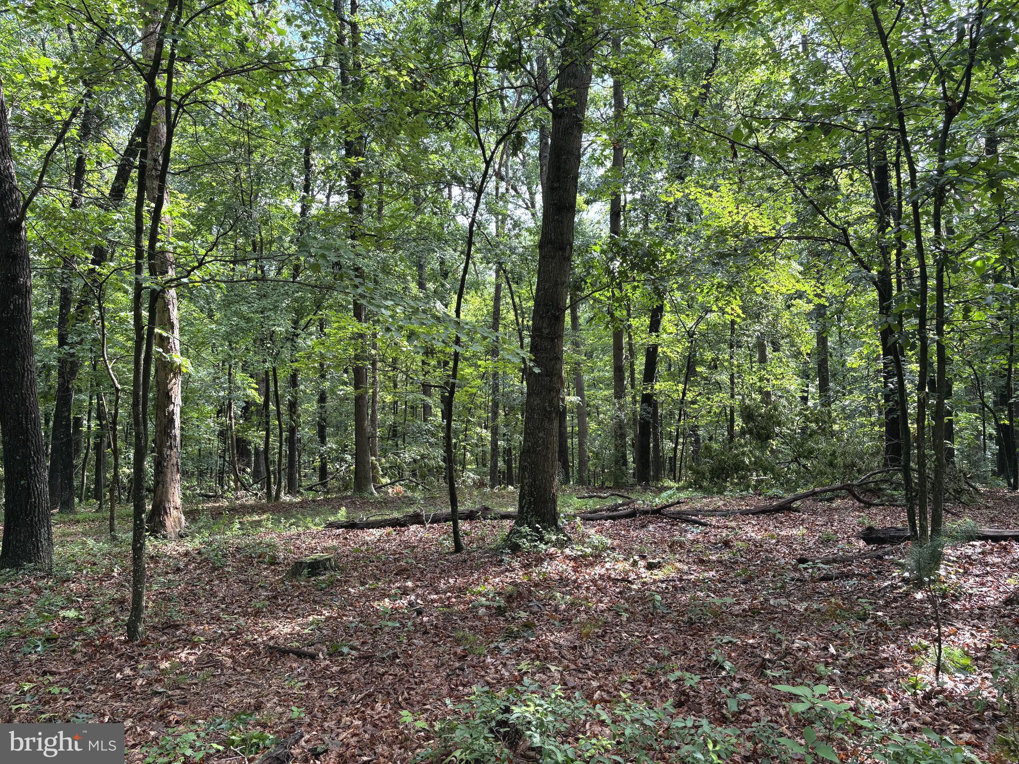 NONE AVAILABLE - Land