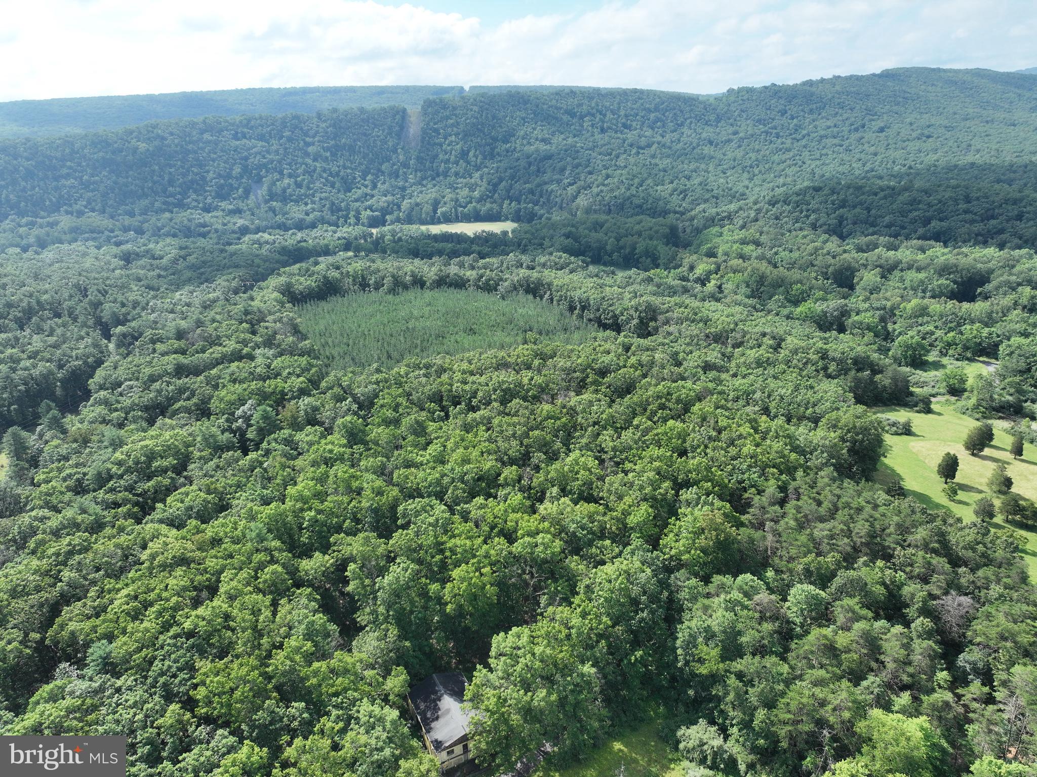 NONE AVAILABLE - Land