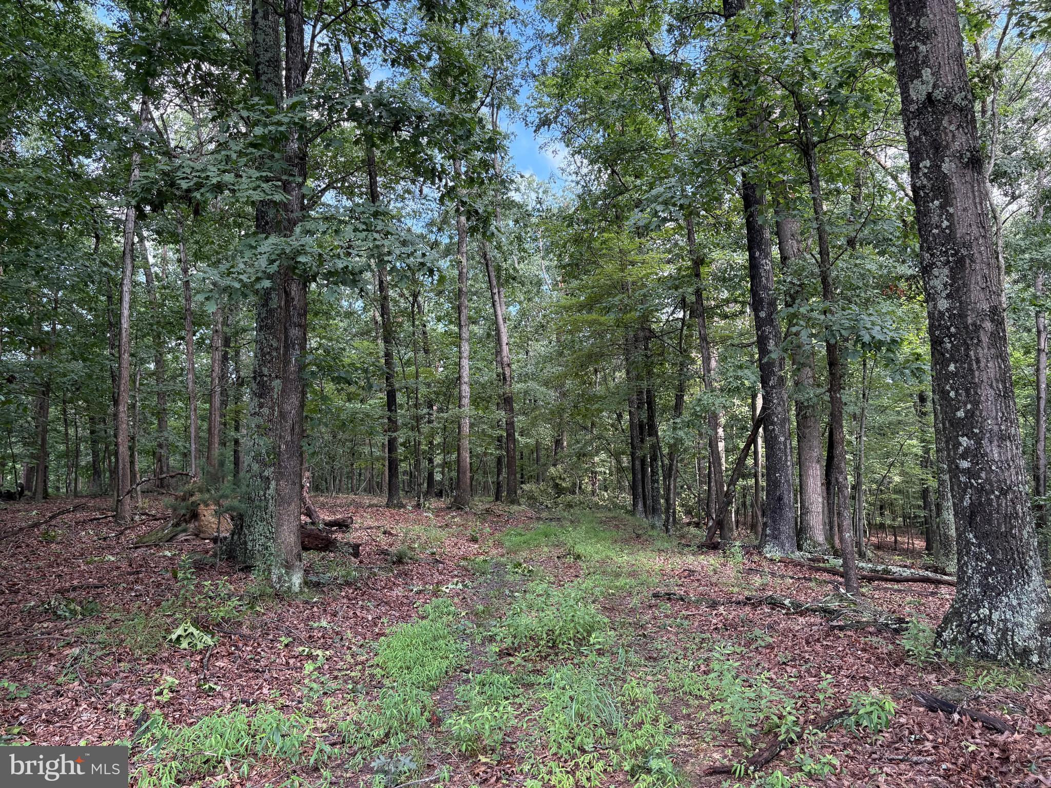 NONE AVAILABLE - Land