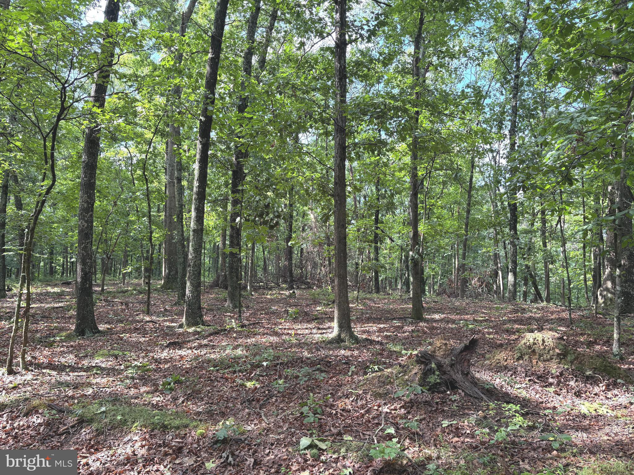 NONE AVAILABLE - Land