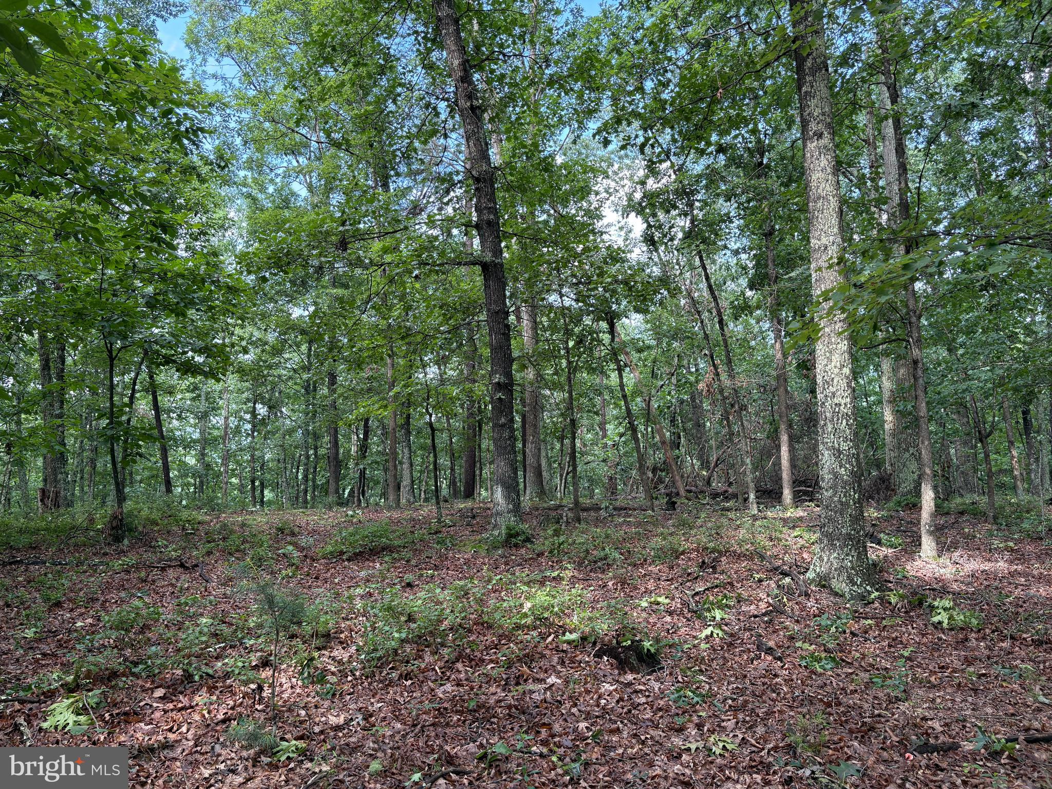 NONE AVAILABLE - Land