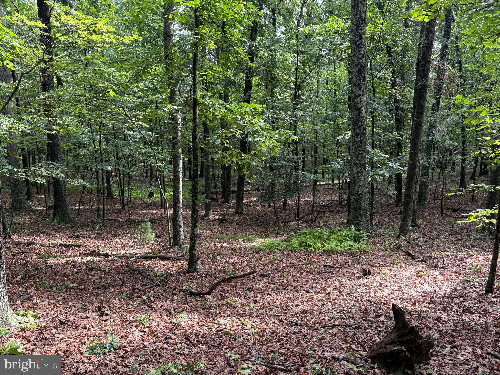 NONE AVAILABLE - Land