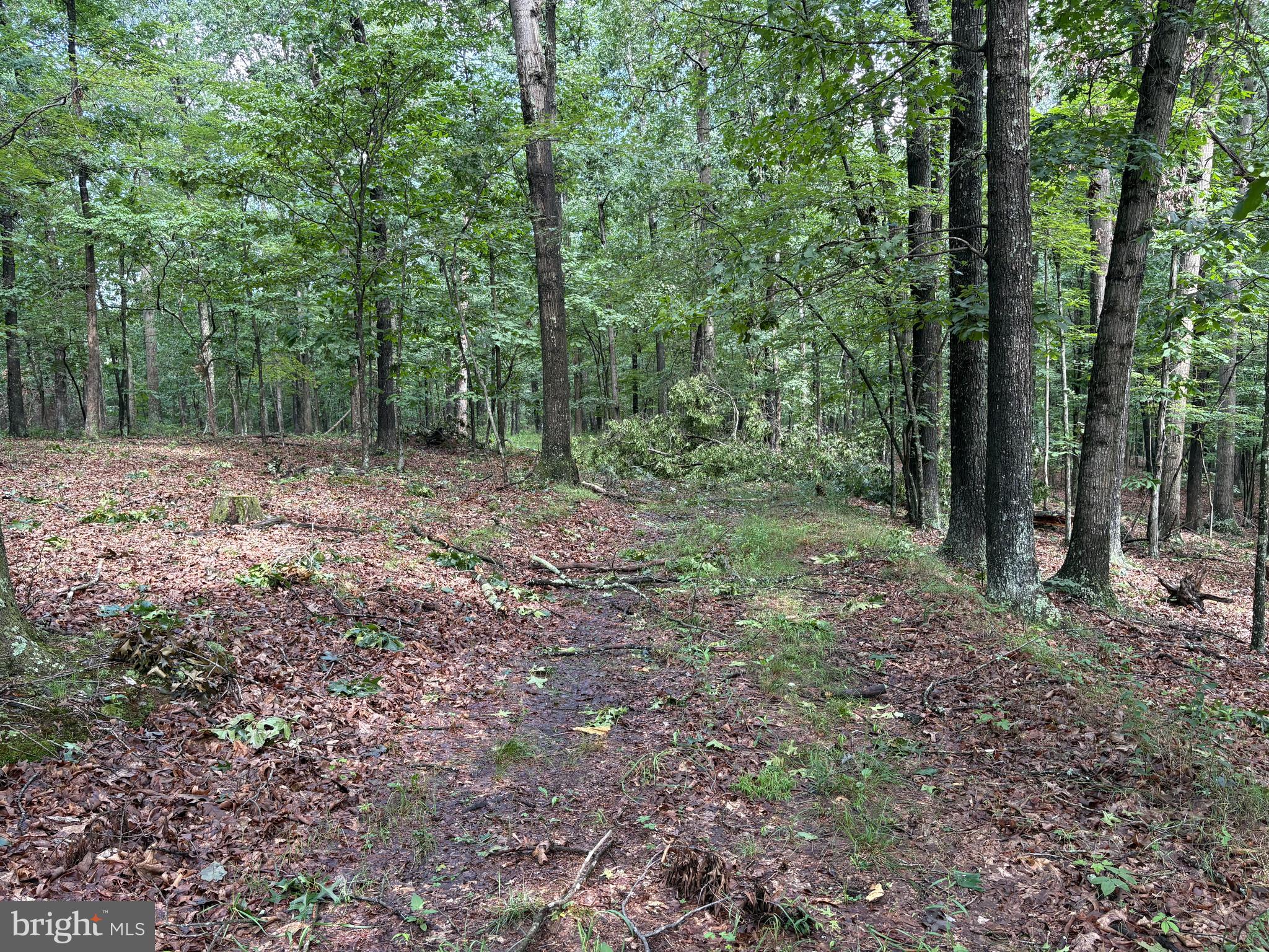 NONE AVAILABLE - Land