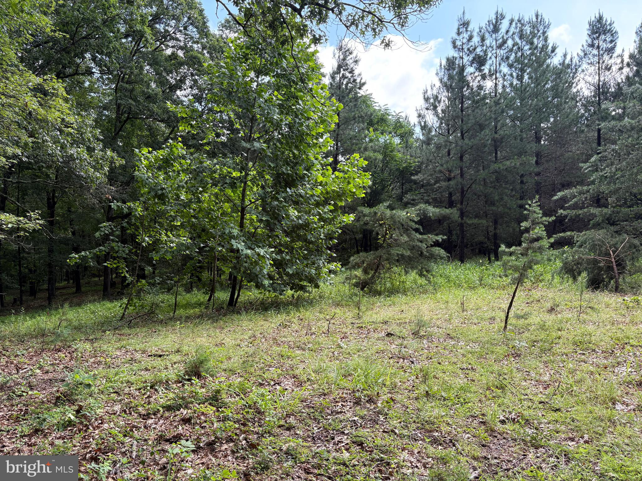 NONE AVAILABLE - Land