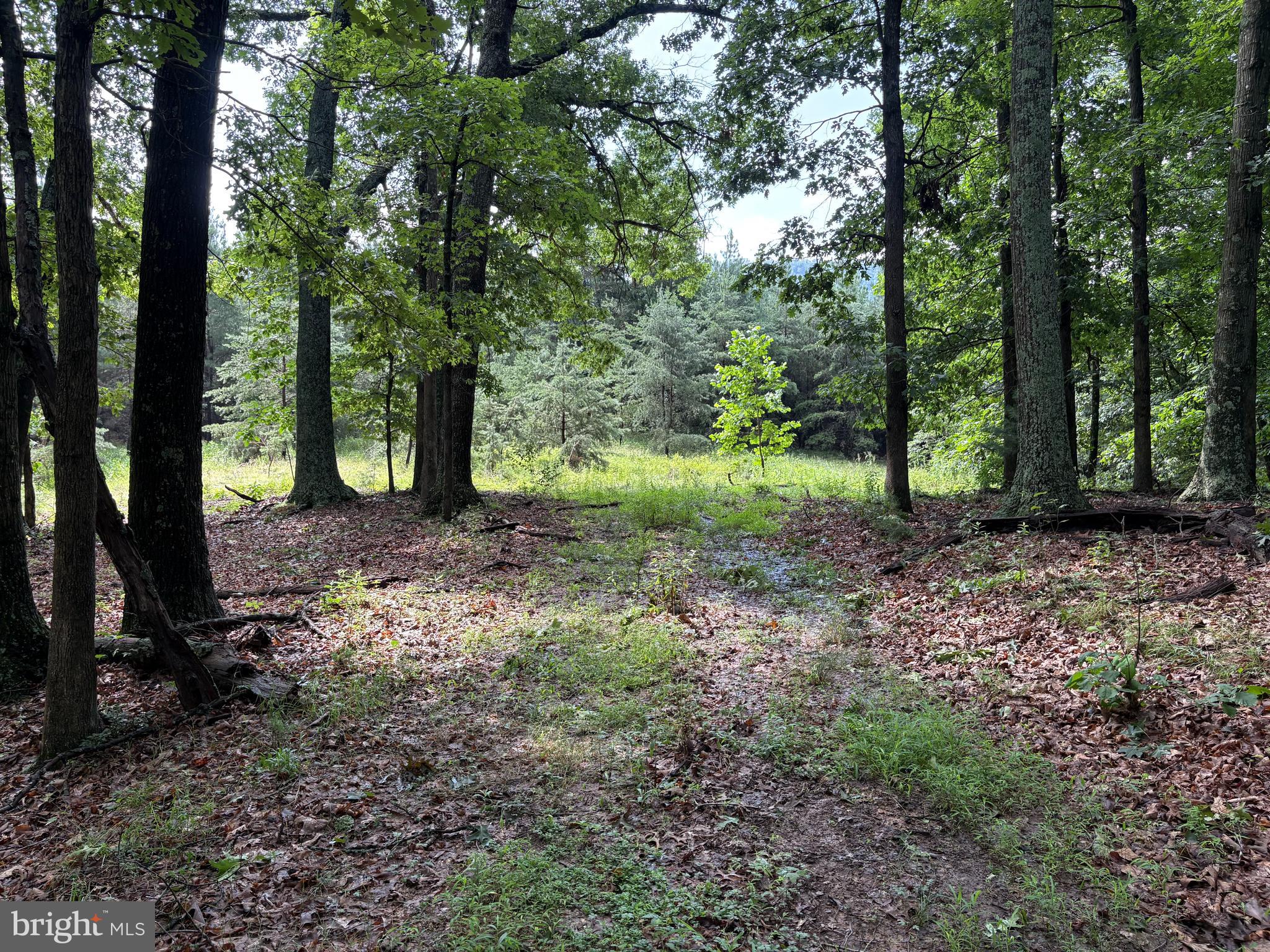 NONE AVAILABLE - Land