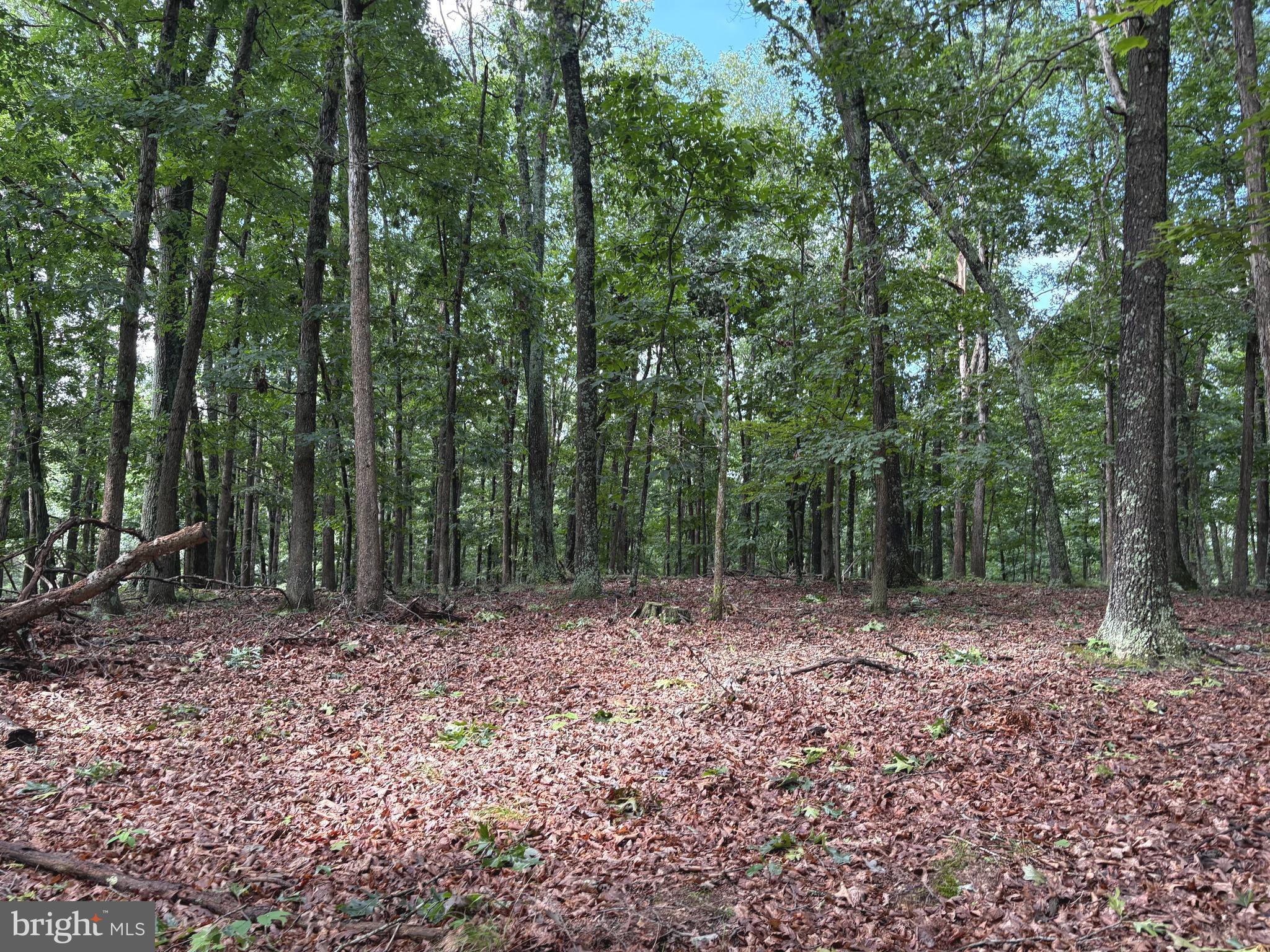 NONE AVAILABLE - Land