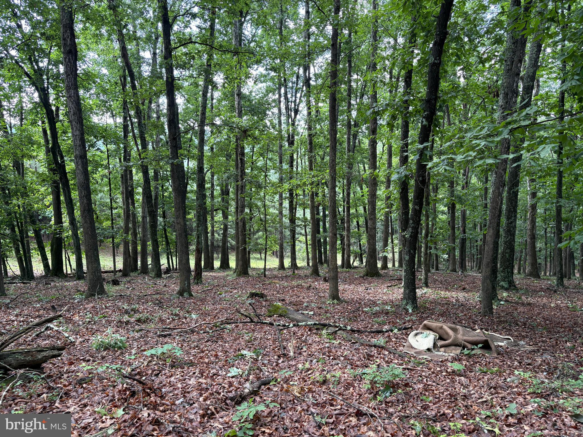 NONE AVAILABLE - Land