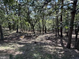 WOODS AT TALYOR LAKE - Residential