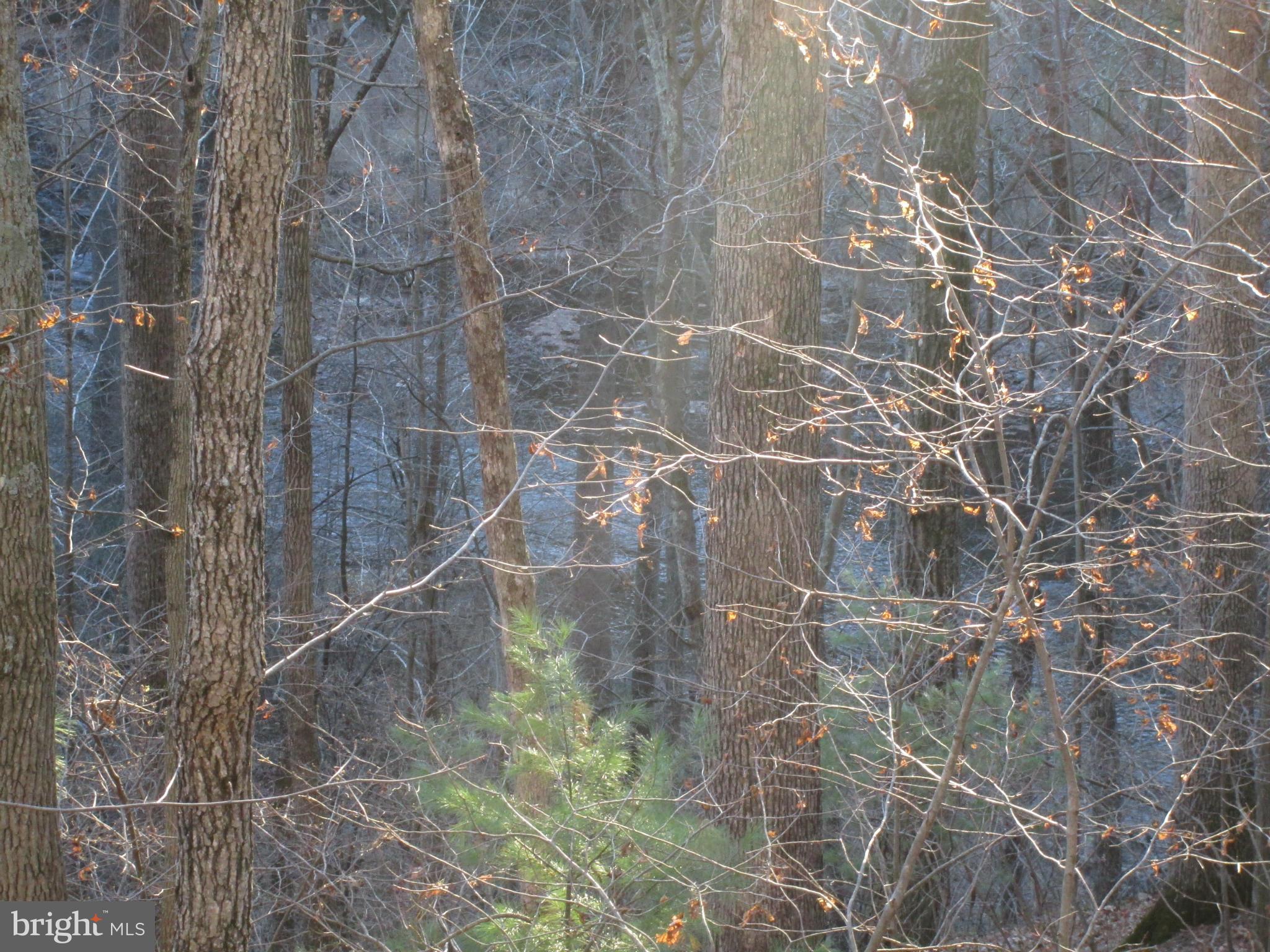 SLEEPY CREEK ORCHARD - Residential