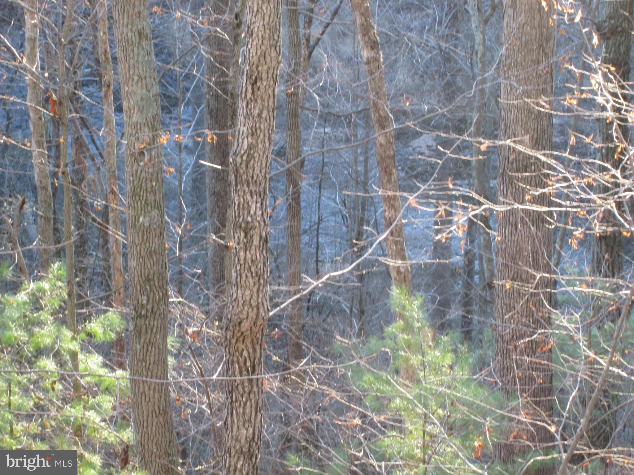 SLEEPY CREEK ORCHARD - Residential