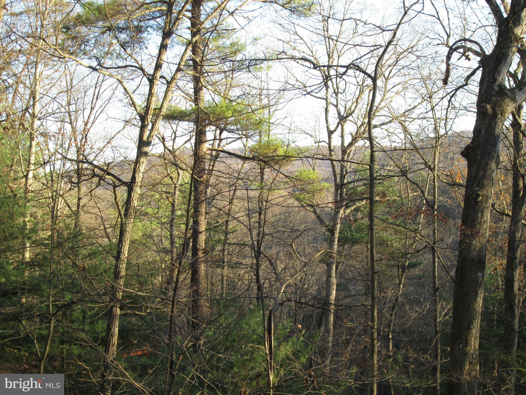 SLEEPY CREEK ORCHARD - Residential