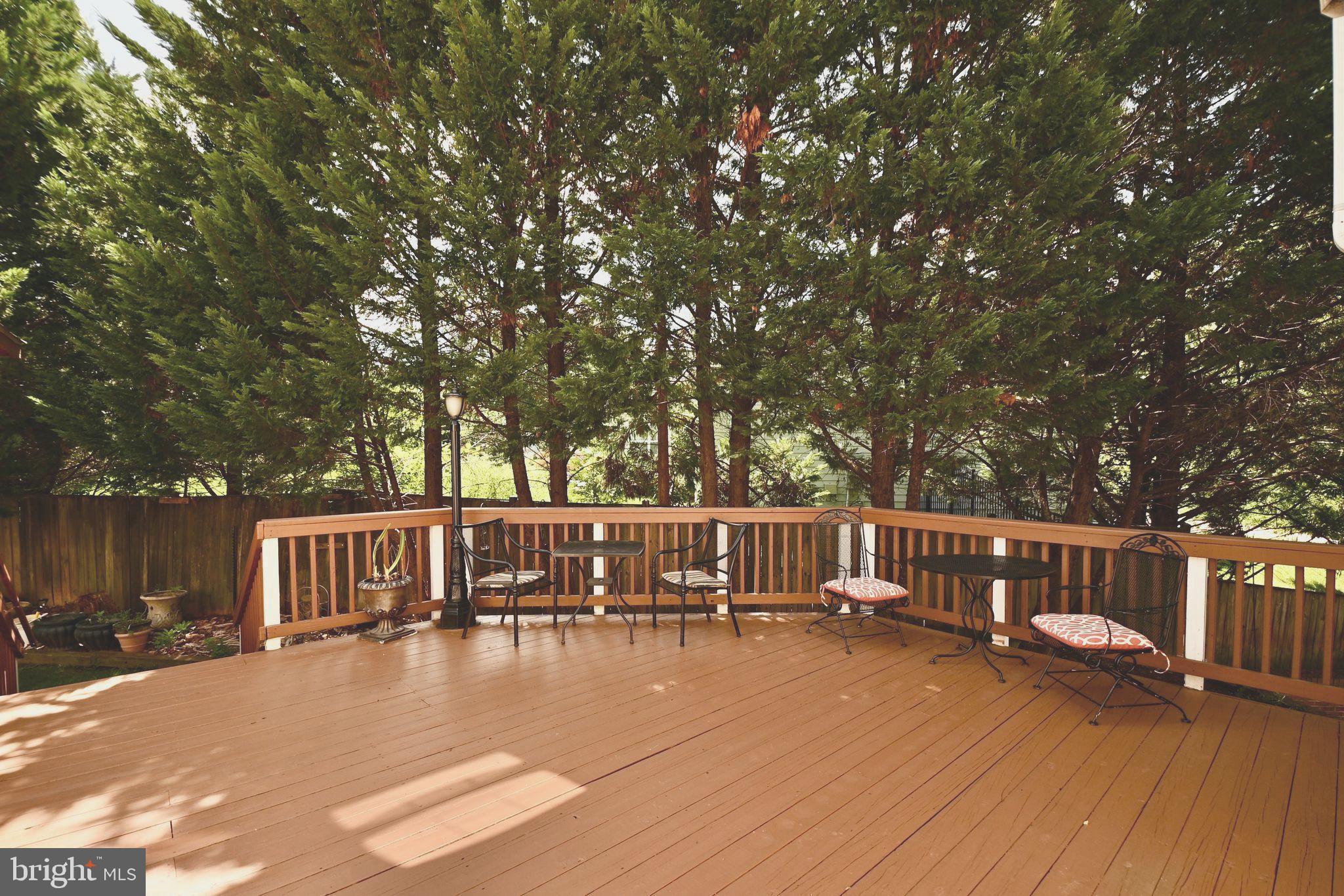 HOLMES RUN HEIGHTS - Residential