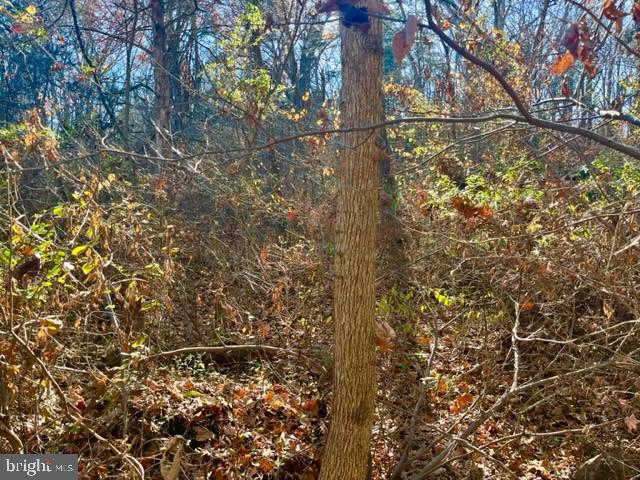 LAND OF LURAY - Land