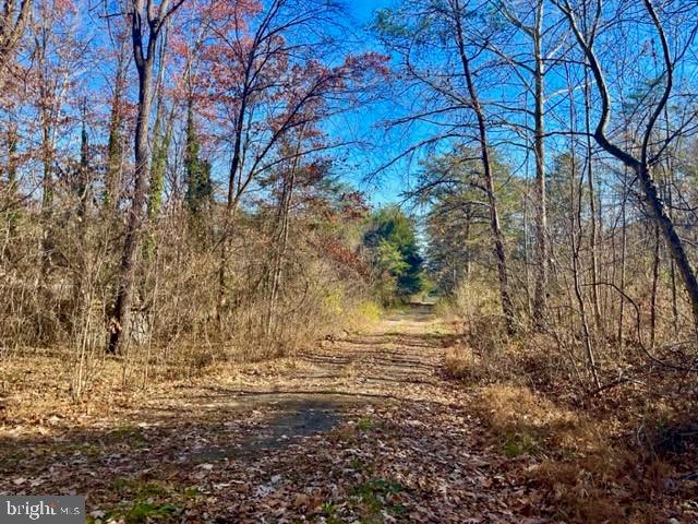 LAND OF LURAY - Land