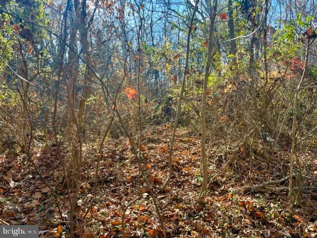 LAND OF LURAY - Land