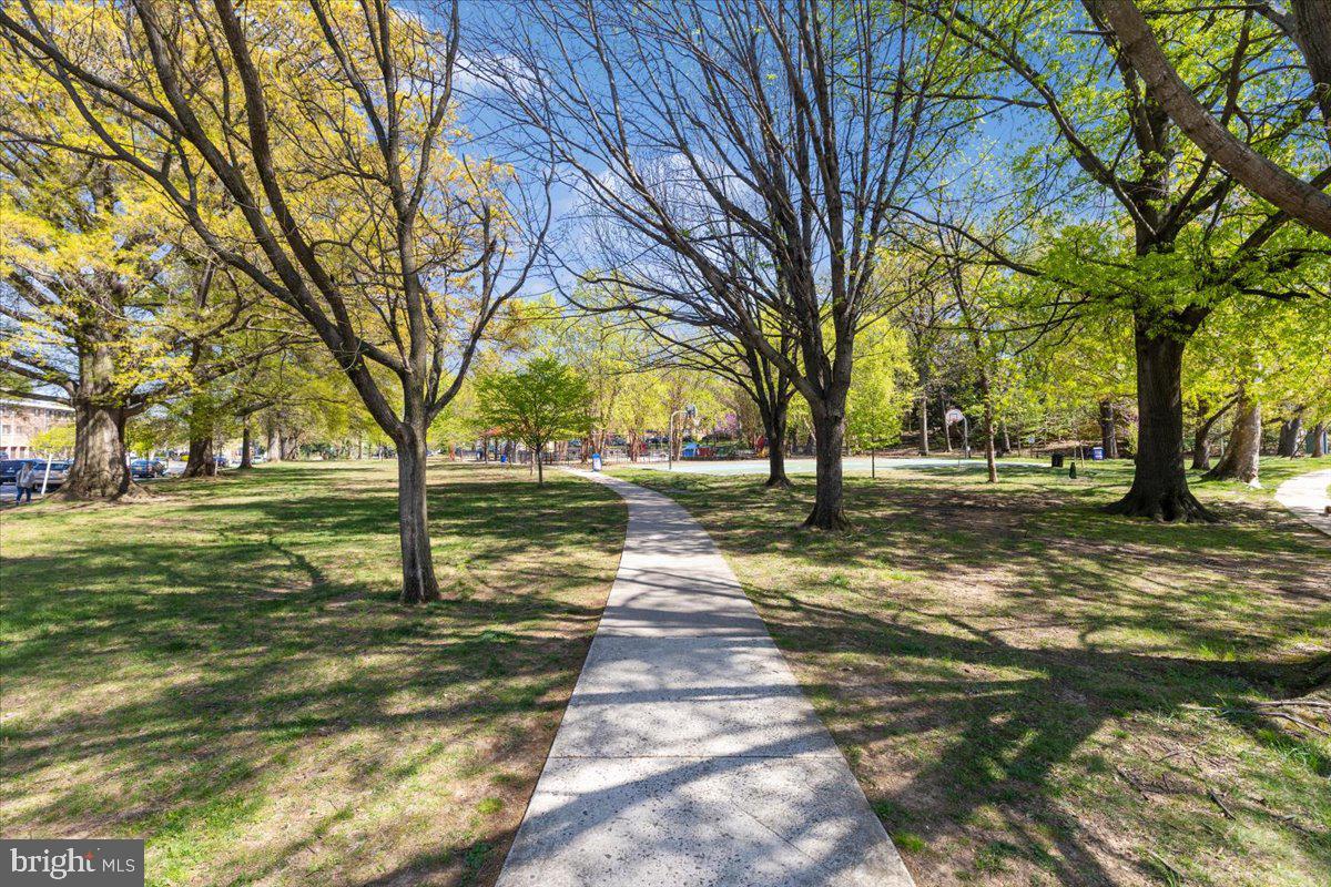 PENROSE - Residential