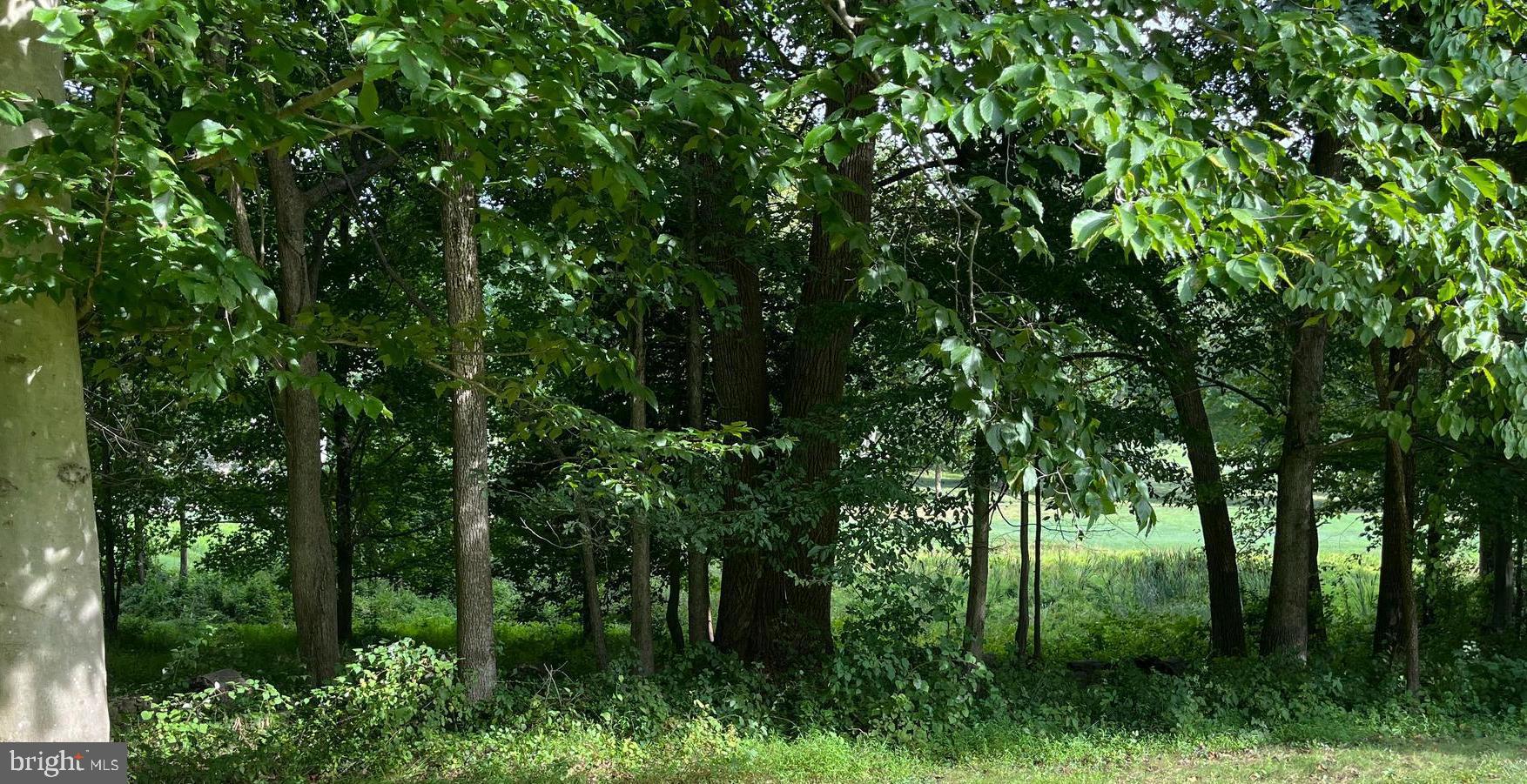 AVENEL - Residential