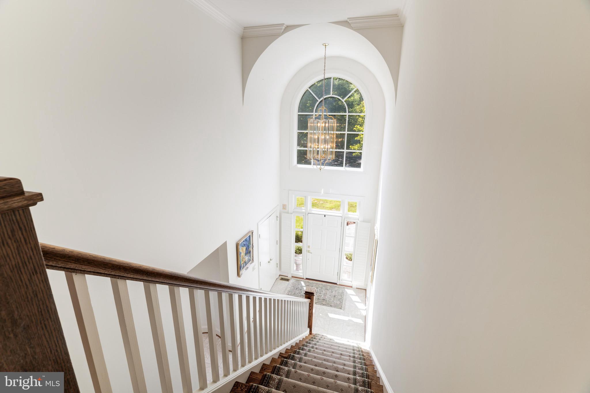 AVENEL - Residential