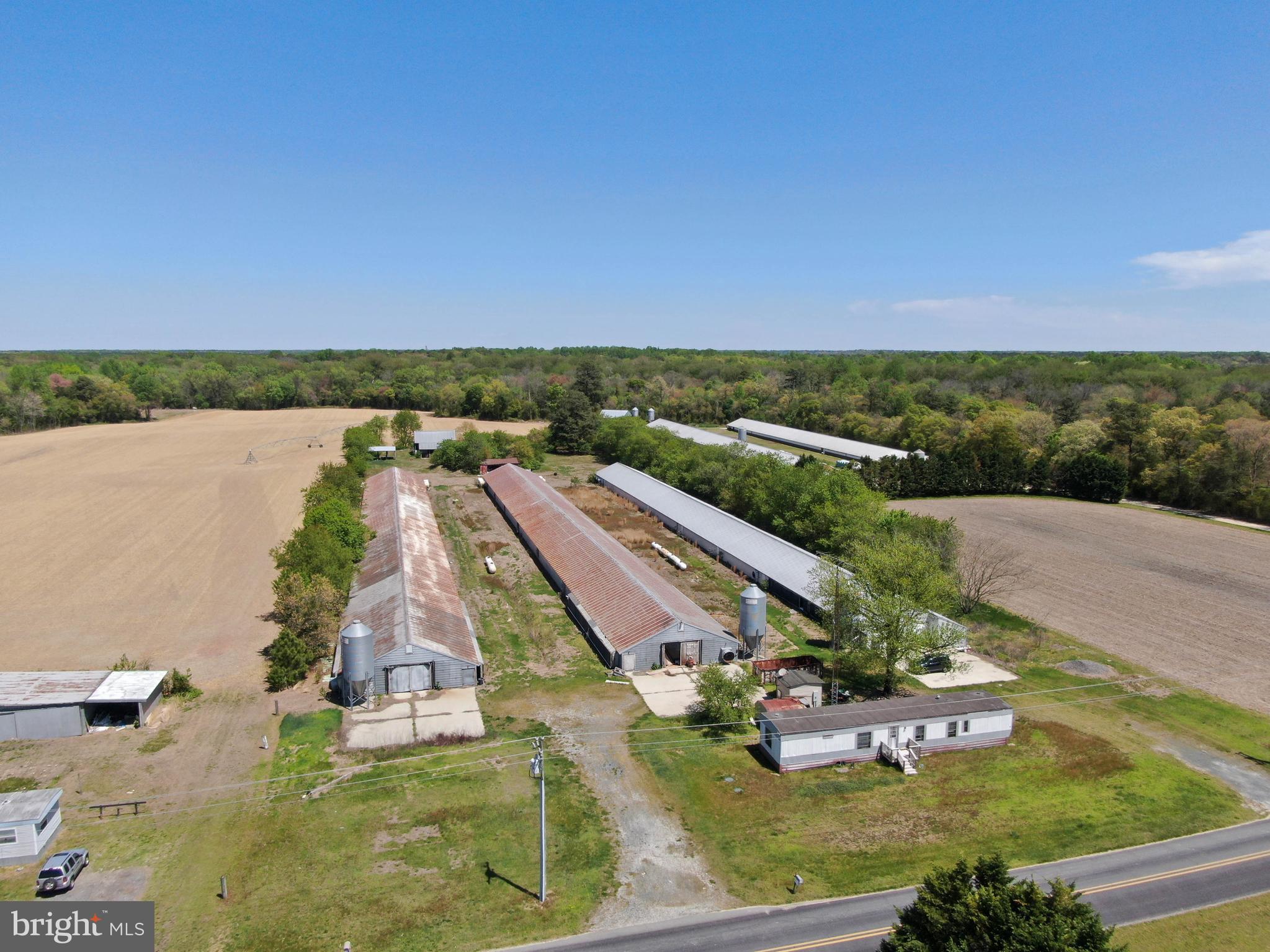 12911 TRUSSUM POND ROAD