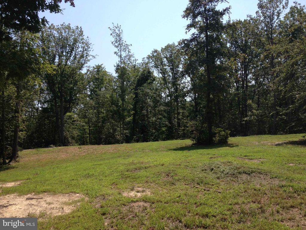 RIVERWIND FARMS - Land