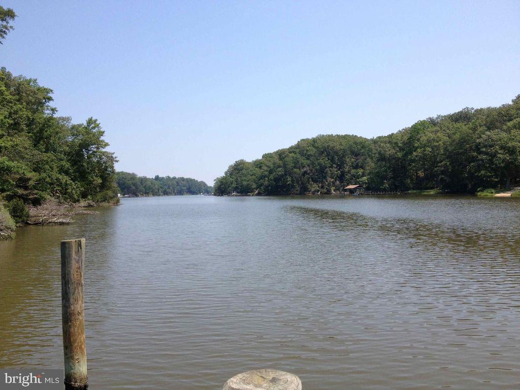 RIVERWIND FARMS - Land