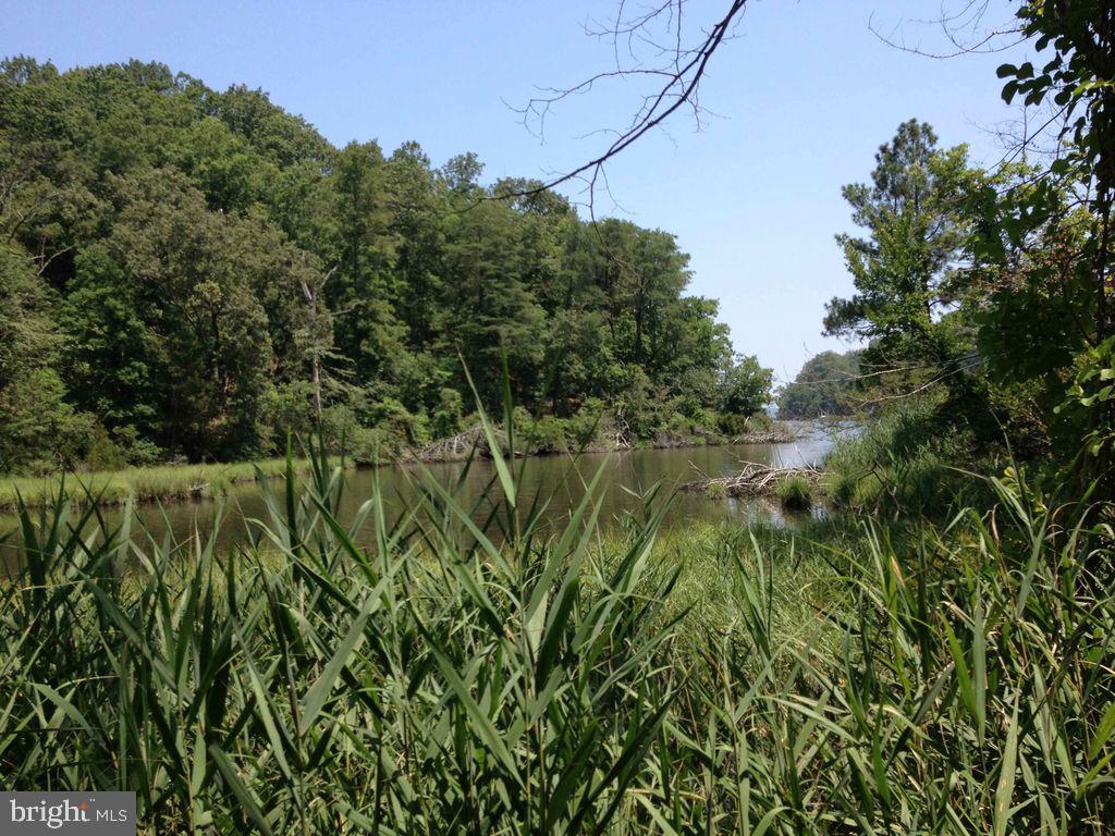 RIVERWIND FARMS - Land