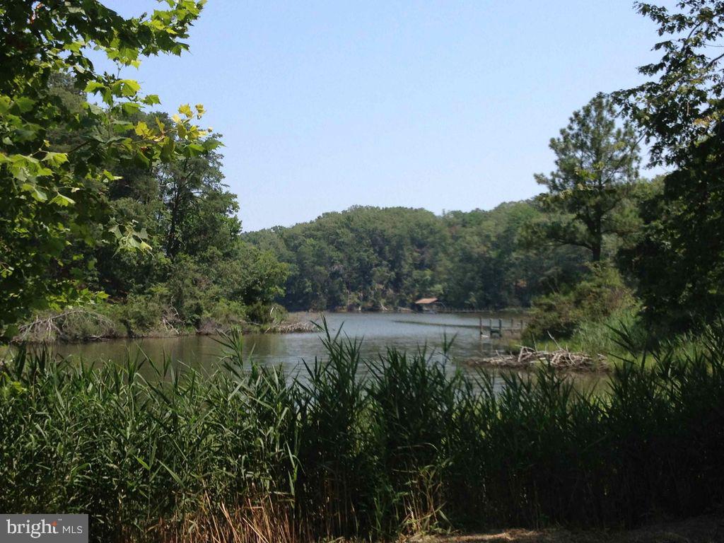 RIVERWIND FARMS - Land