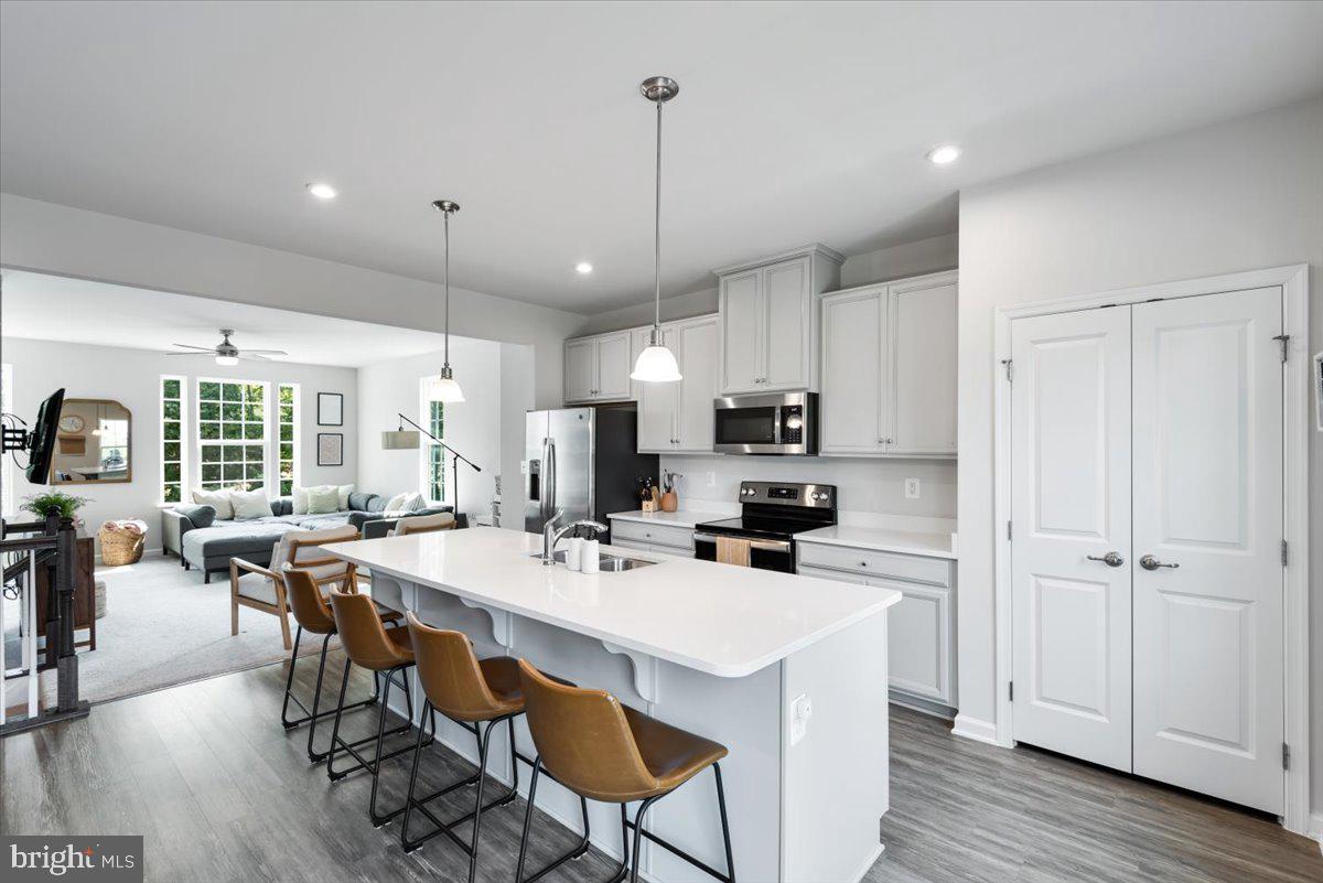 THE VILLAGE AT COURTHOUSE COMMONS - Residential