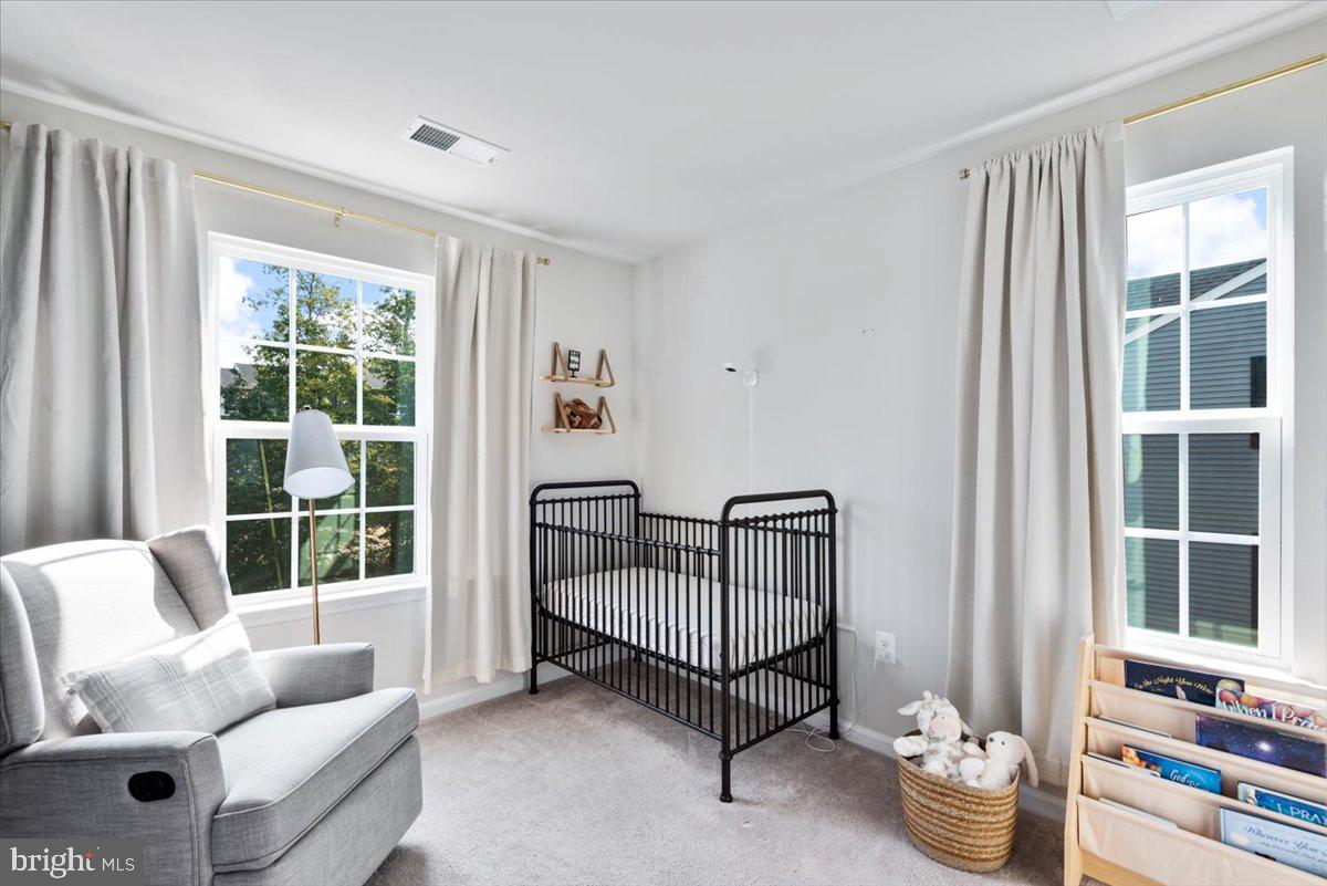 THE VILLAGE AT COURTHOUSE COMMONS - Residential