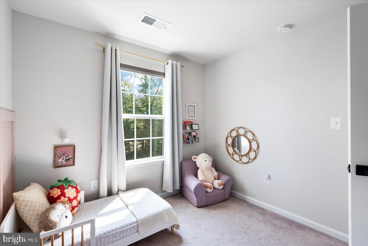 THE VILLAGE AT COURTHOUSE COMMONS - Residential