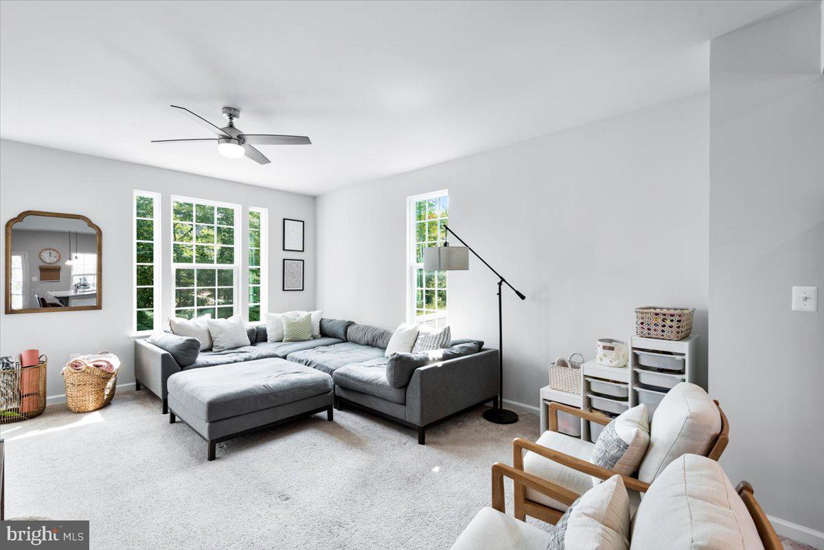 THE VILLAGE AT COURTHOUSE COMMONS - Residential