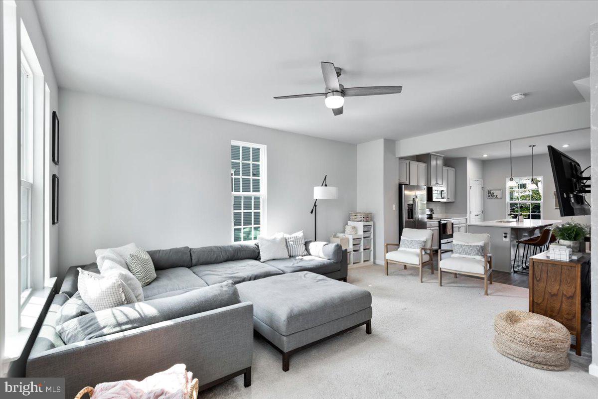 THE VILLAGE AT COURTHOUSE COMMONS - Residential