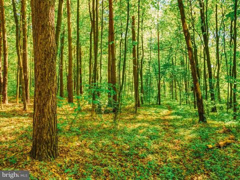 NORTH LAKE DRIVE MECHANICSVILLE MD 20659