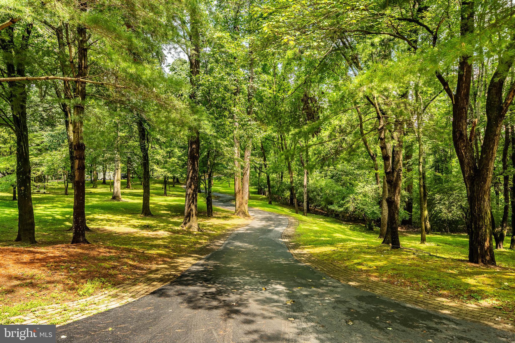 BITTERSWEET - Residential